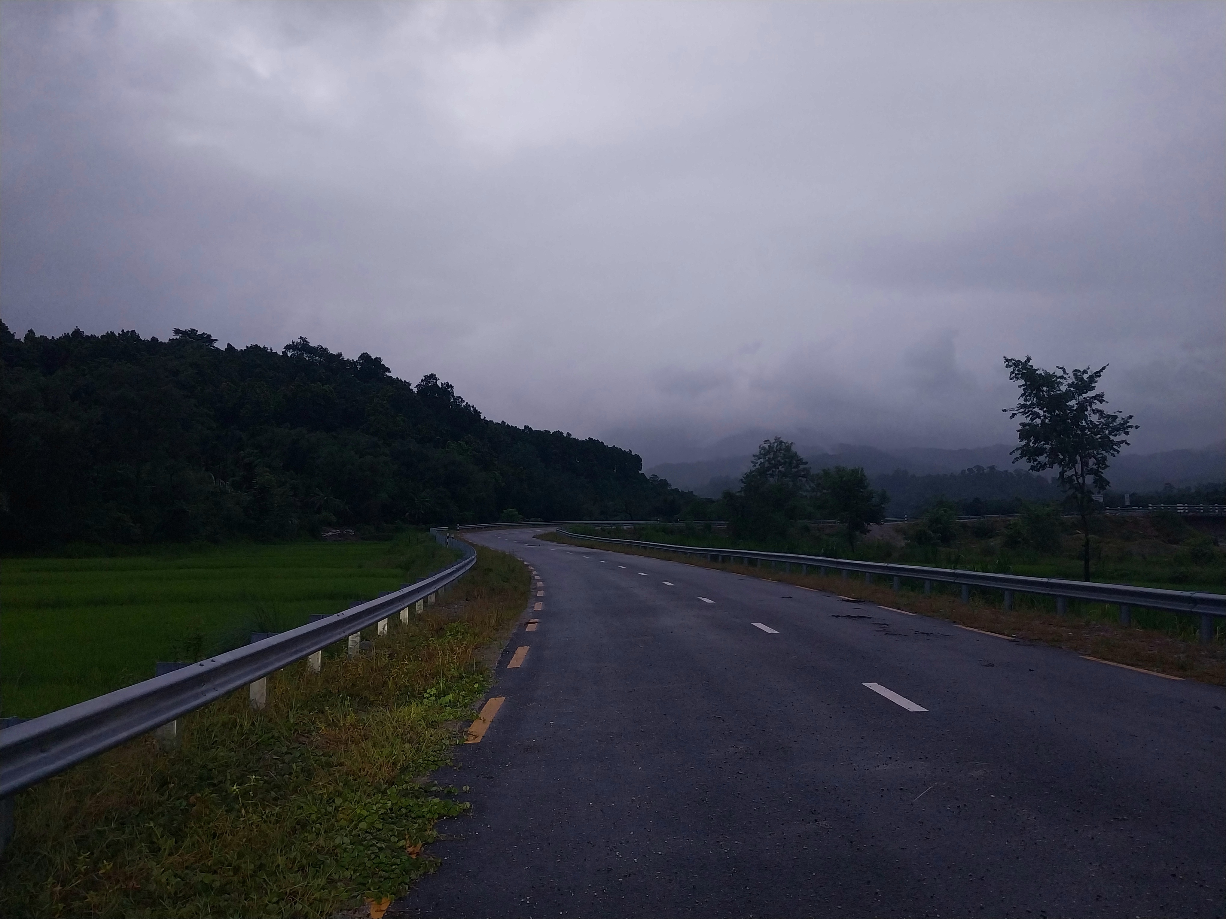 Lone Path